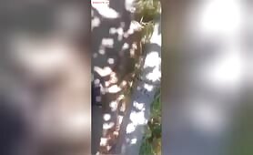 Mzansi sex: Mzansi Students Having Sex In The Bush