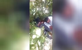 Mzansi sex: Mzansi Students Having Sex In The Bush