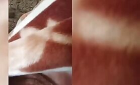 My Shy Girlfriend Loves To Suck Dick