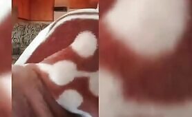 My Shy Girlfriend Loves To Suck Dick