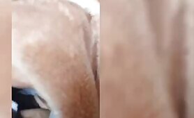 My Shy Girlfriend Loves To Suck Dick
