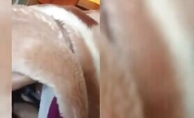My Shy Girlfriend Loves To Suck Dick