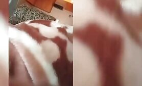 My Shy Girlfriend Loves To Suck Dick